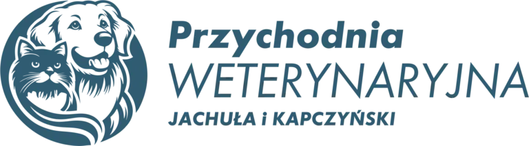 logo-h-768x213.png